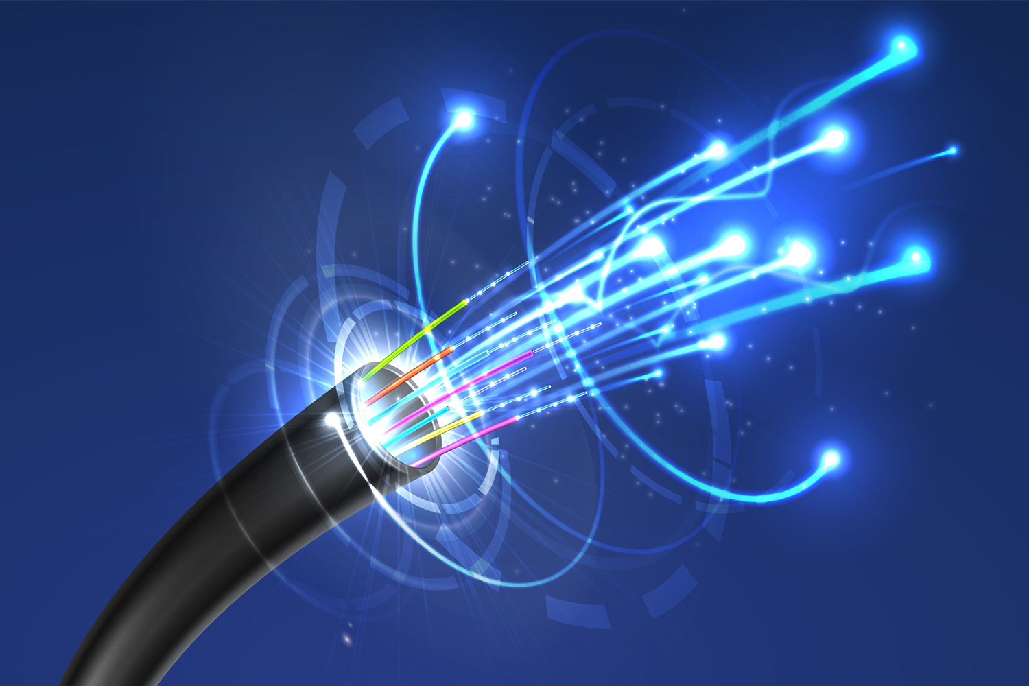 Fiber